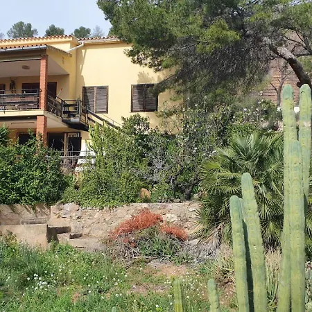 Privat bolig Hogar Del Viajero Oropesa del Mar